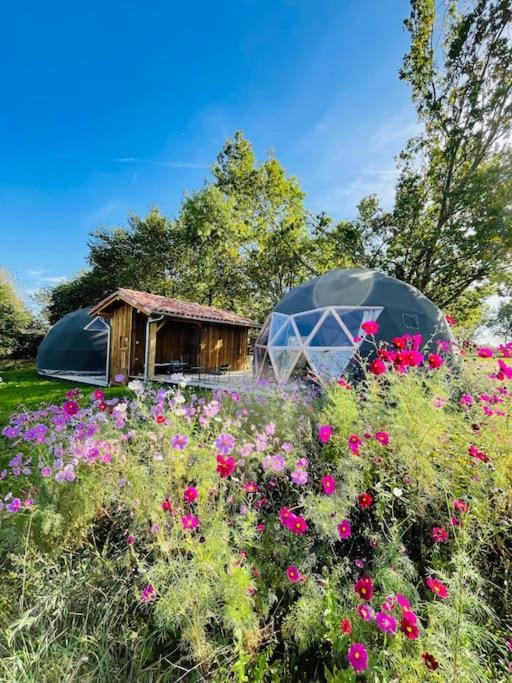 Dome Insolite Lichen Jacuzzi Et Petits-Dejeuners Inclus Gondrin Bagian luar foto