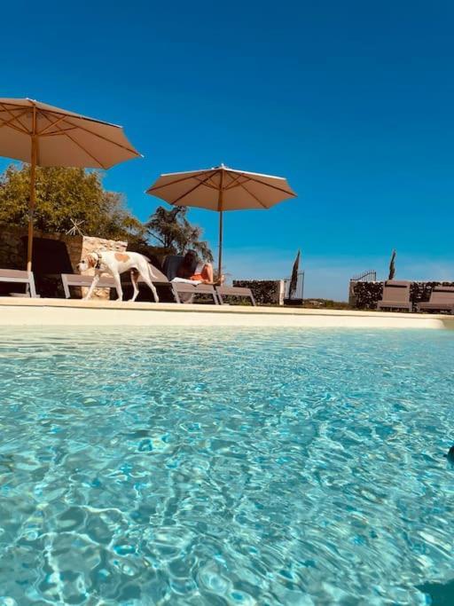 Dome Insolite Lichen Jacuzzi Et Petits-Dejeuners Inclus Gondrin Bagian luar foto